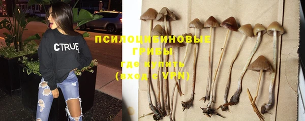синтетический гашиш Абдулино