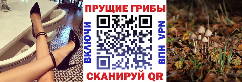 Псилоцибиновые грибы мухоморы  Почеп 